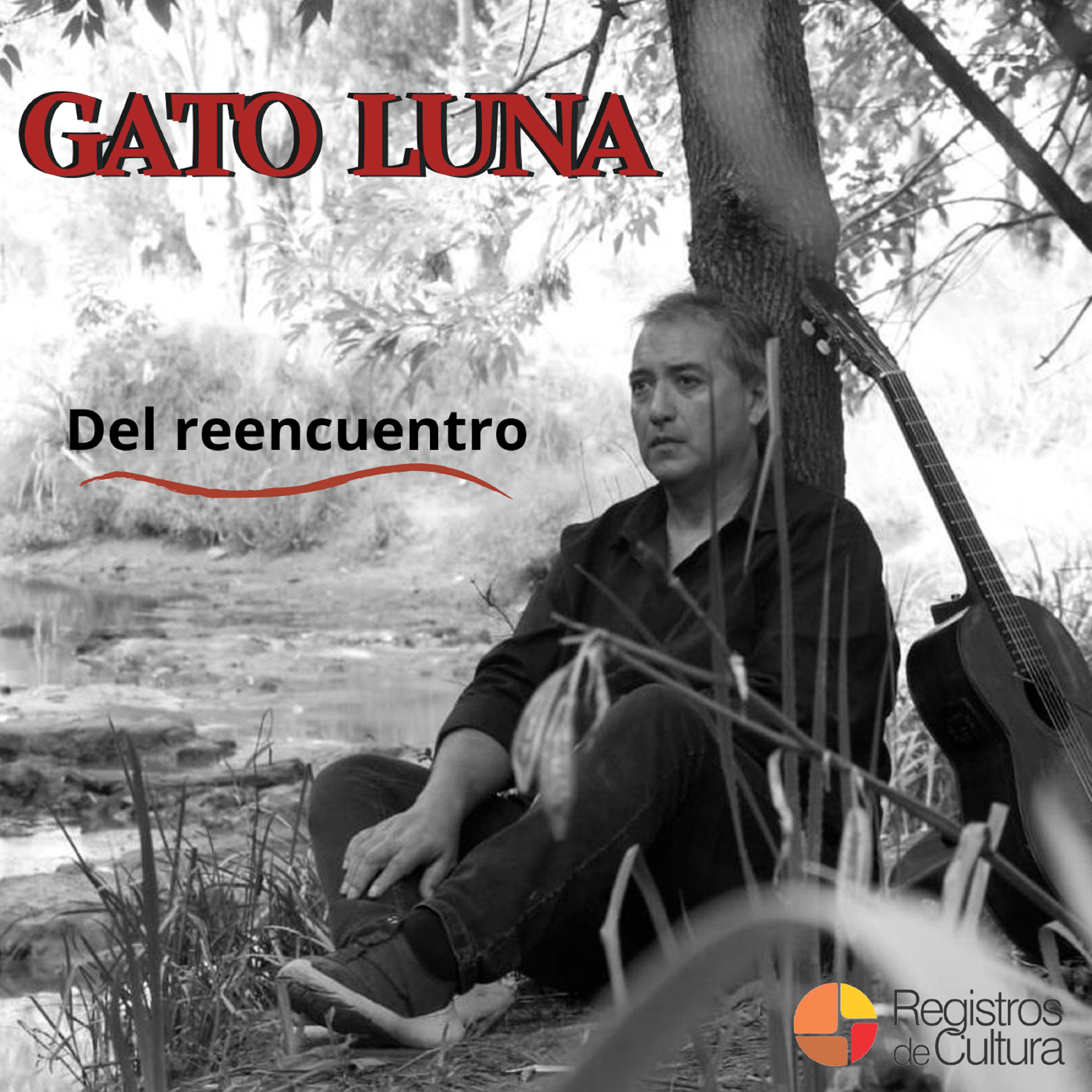 Contratapa de Gato Luna — El reencuentro